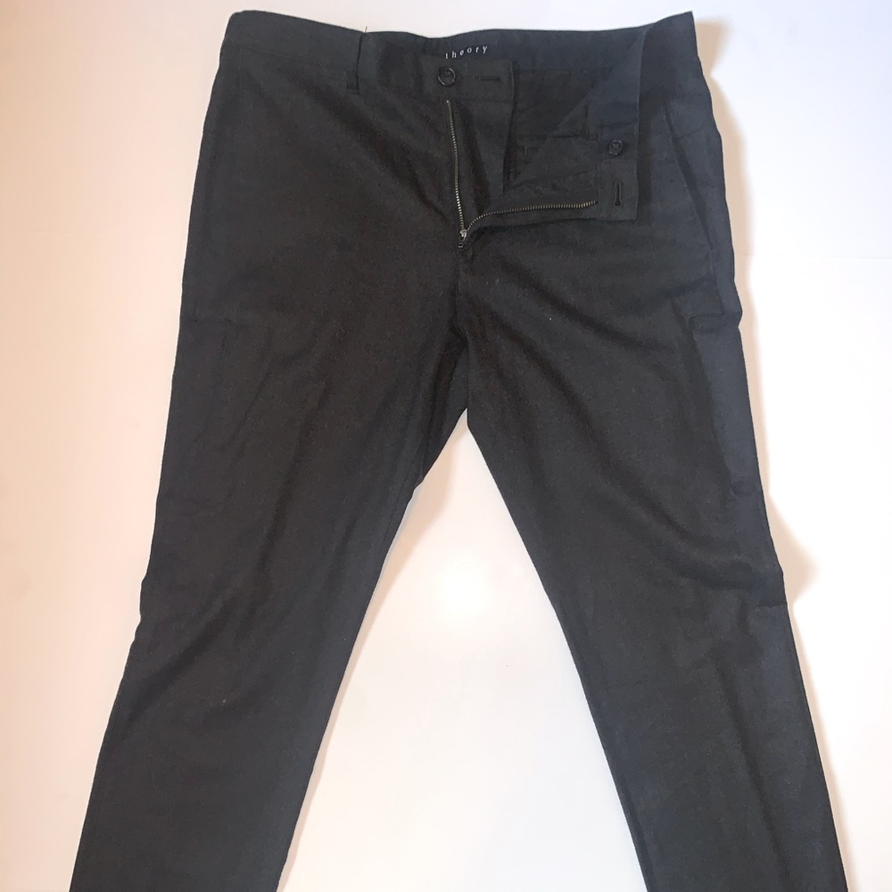 Wool Theory Dress Pants